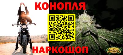 прущие грибы Коммунар
