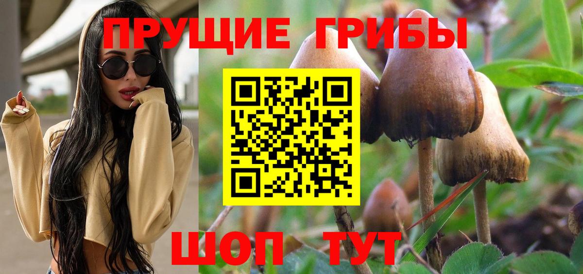 Галлюциногенные грибы MAGIC MUSHROOMS  Вход с VPN  Комсомольск-на-Амуре 