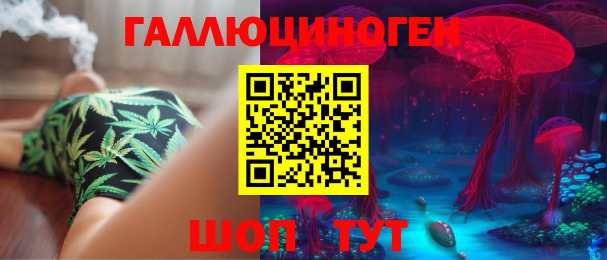 Галлюциногенные грибы Psilocybe Комсомольск-на-Амуре
